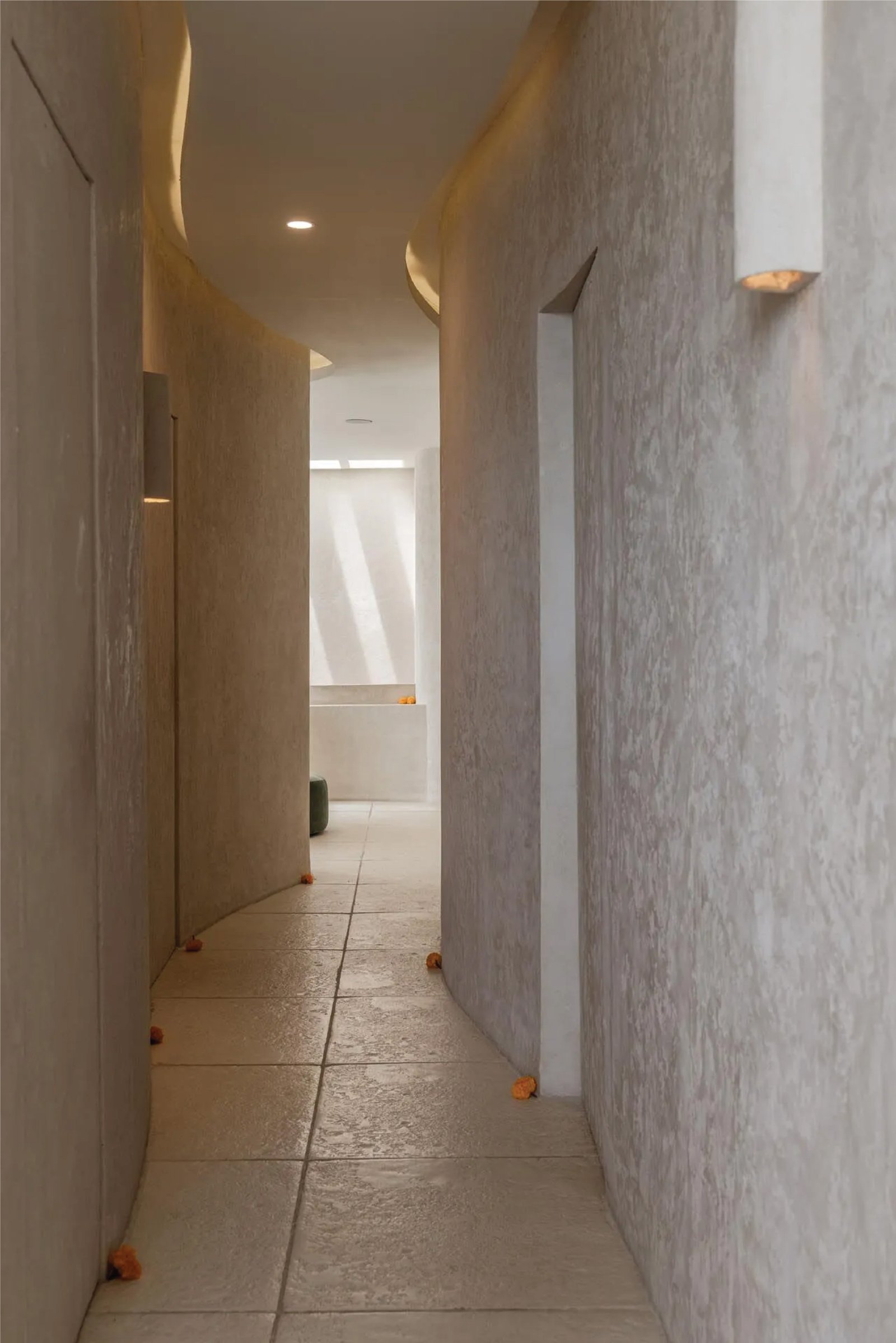 AESTHETICA - Image 4