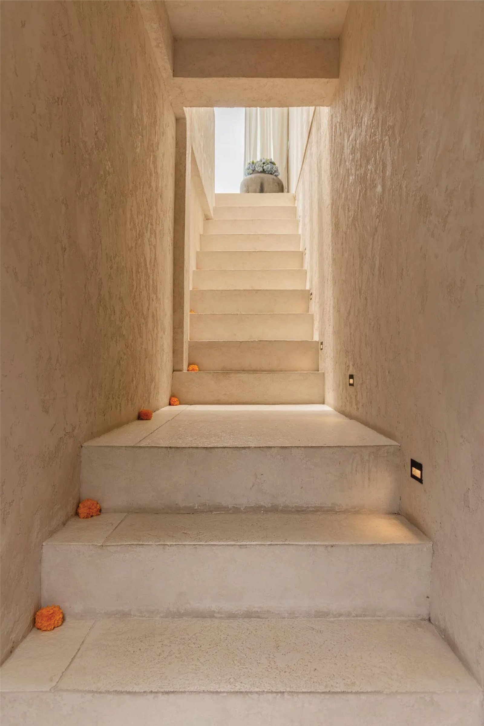 AESTHETICA - Image 6