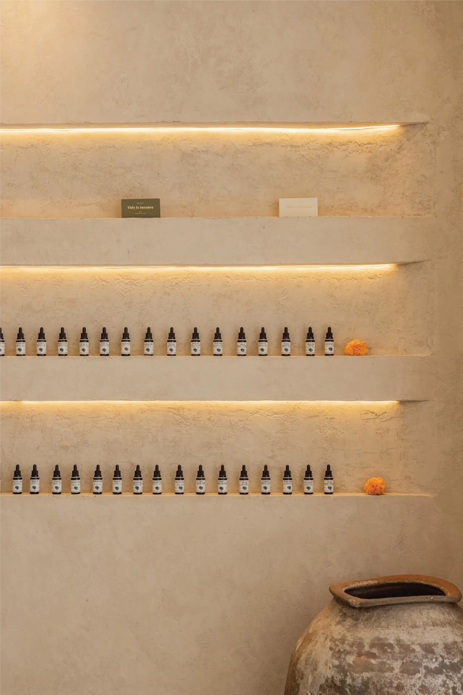 AESTHETICA - Image 9